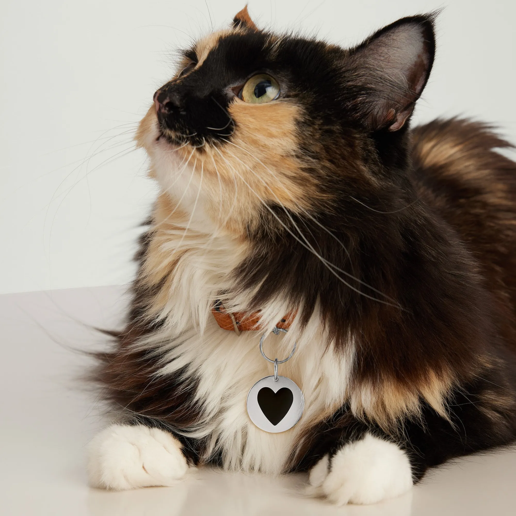 Lifestyle | Mejuri Round Heart Pet Tag StainlessSteel,BlackEnamel