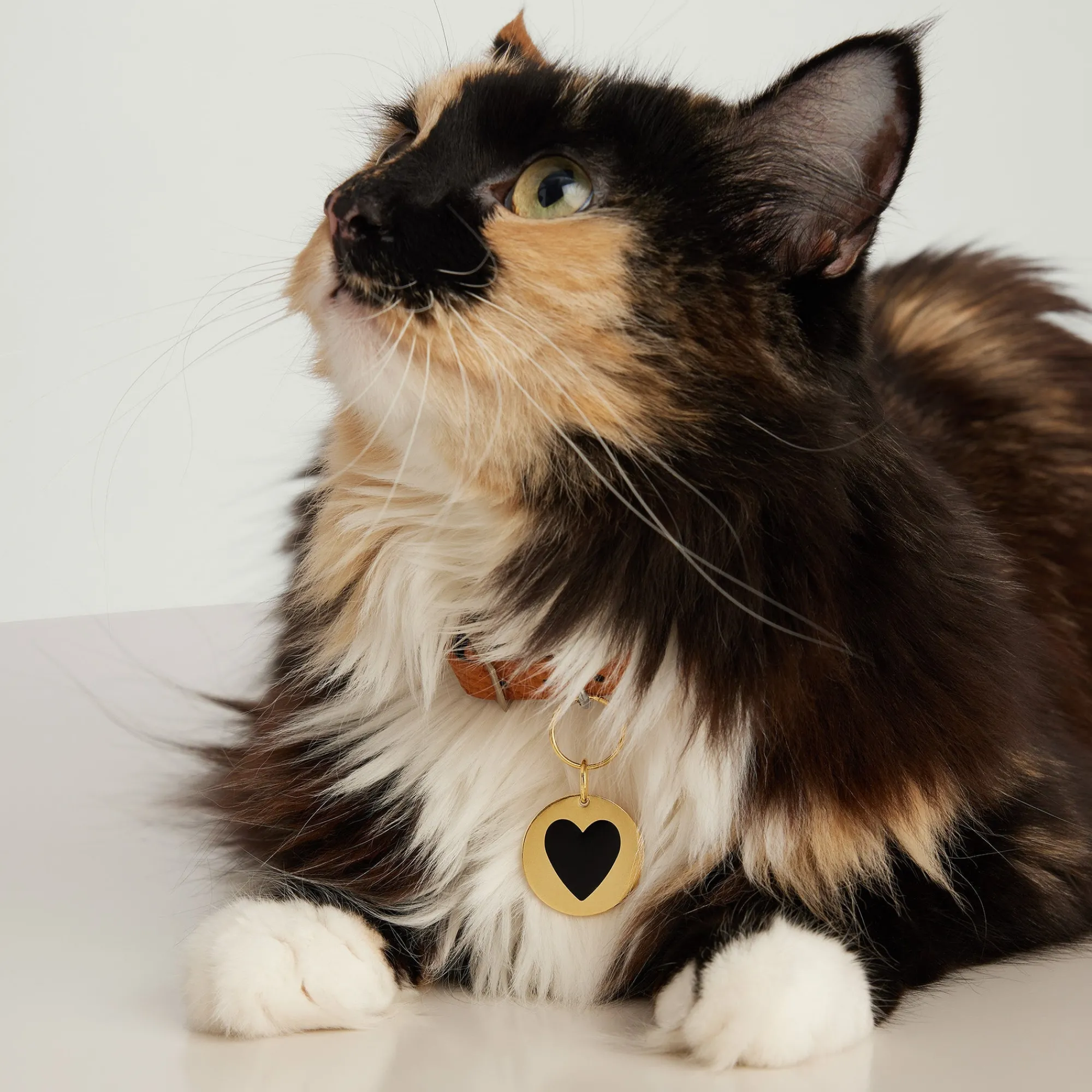 Lifestyle | Mejuri Round Heart Pet Tag 24kGoldPlatedStainlessSteel,BlackEnamel