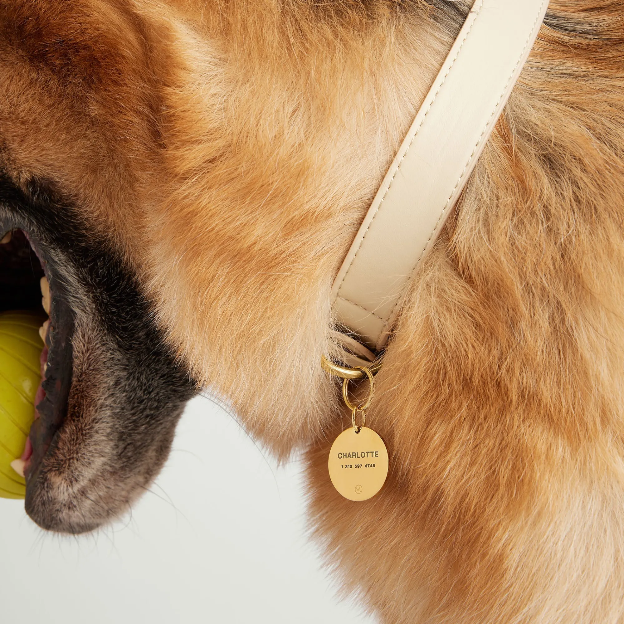 Lifestyle | Mejuri Round Heart Pet Tag StainlessSteel,BlackEnamel