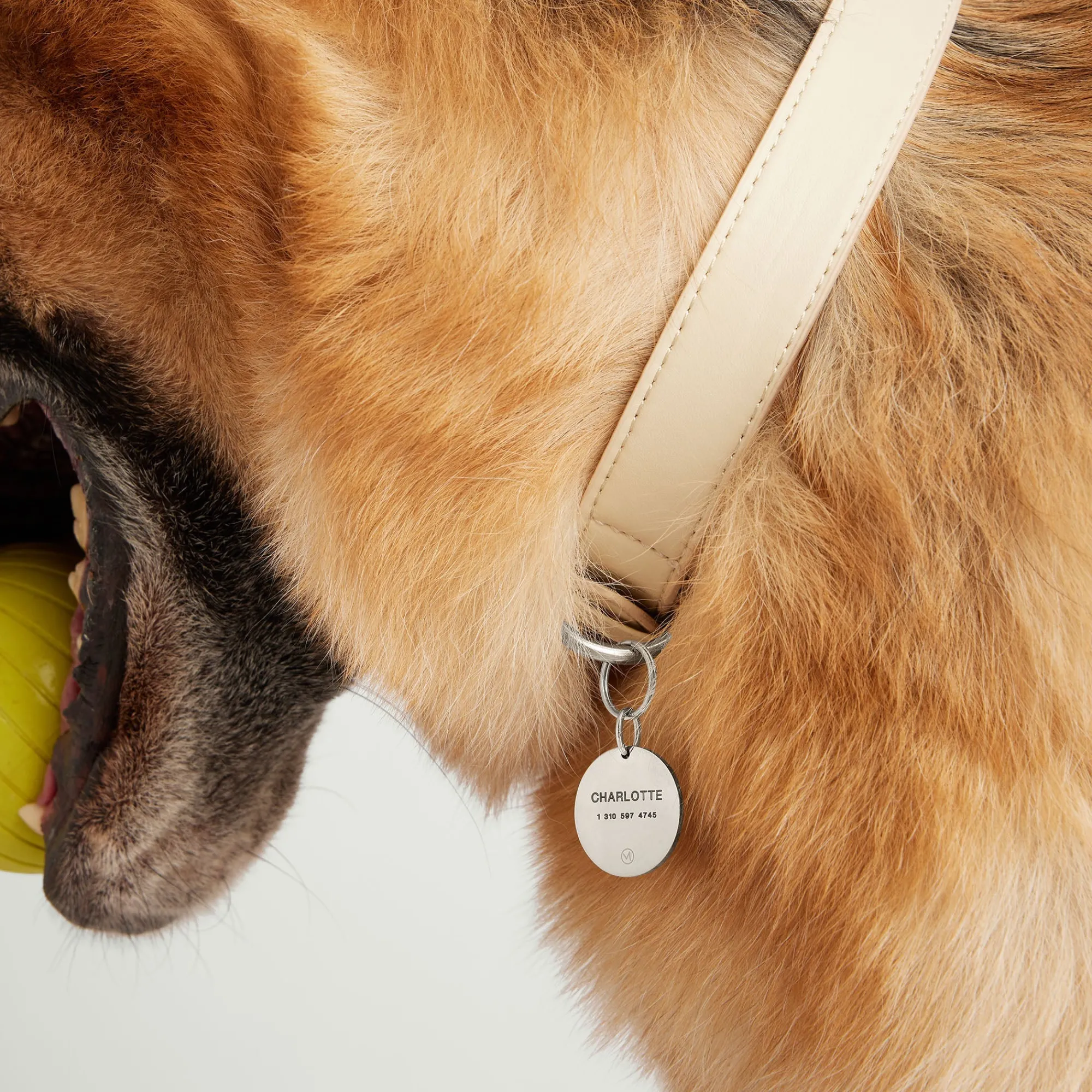 Lifestyle | Mejuri Round Heart Pet Tag 24kGoldPlatedStainlessSteel,BlackEnamel