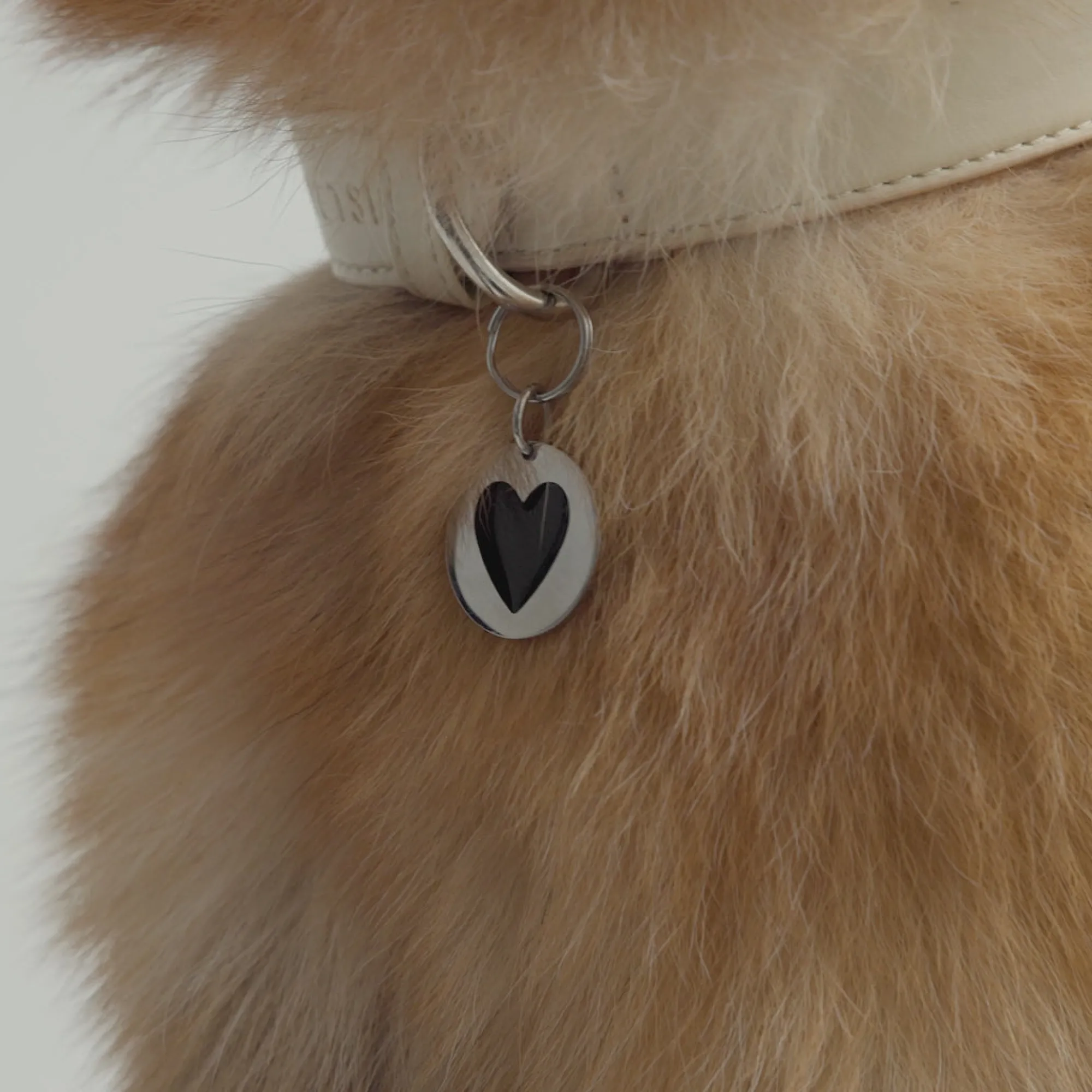 Lifestyle | Mejuri Round Heart Pet Tag StainlessSteel,BlackEnamel