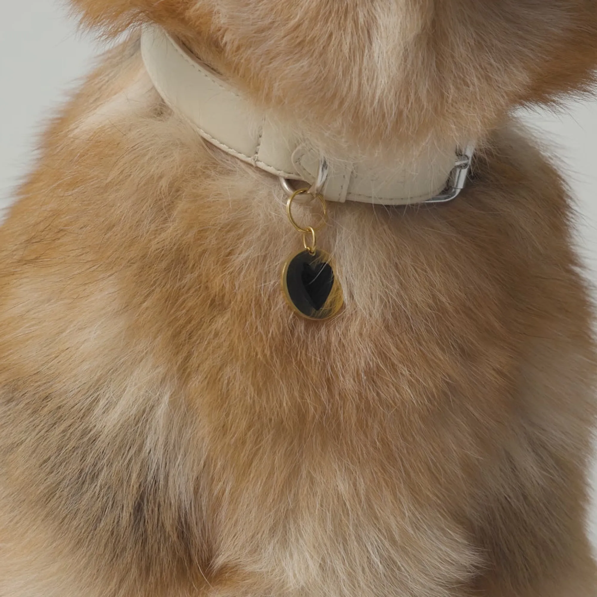 Lifestyle | Mejuri Round Heart Pet Tag 24kGoldPlatedStainlessSteel,BlackEnamel