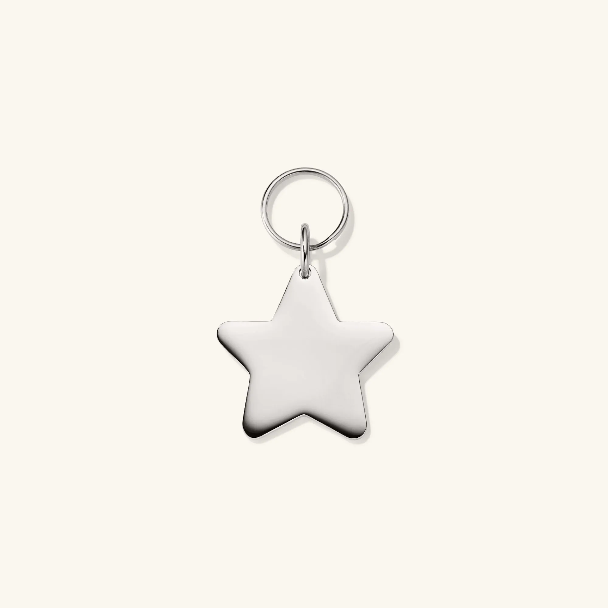 Lifestyle | Mejuri Star Pet Tag StainlessSteel