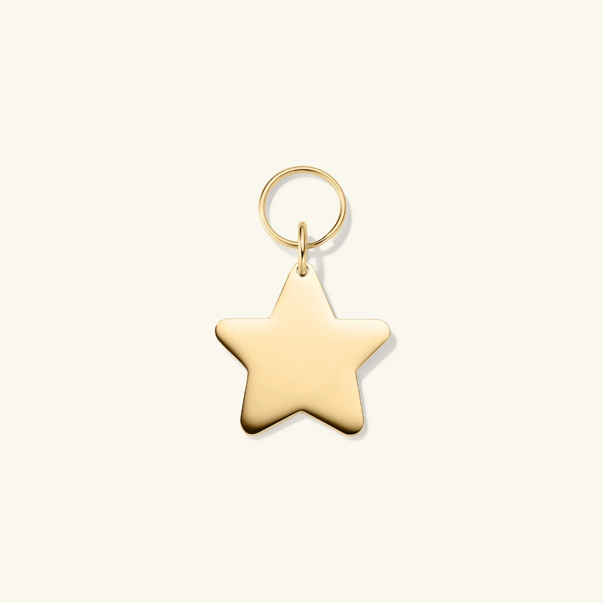 Lifestyle | Mejuri Star Pet Tag 24kGoldPlatedStainlessSteel